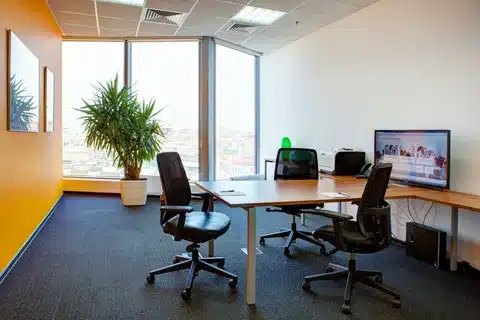 Who Rents Office & Coworking Spaces? 1 Remote Workers